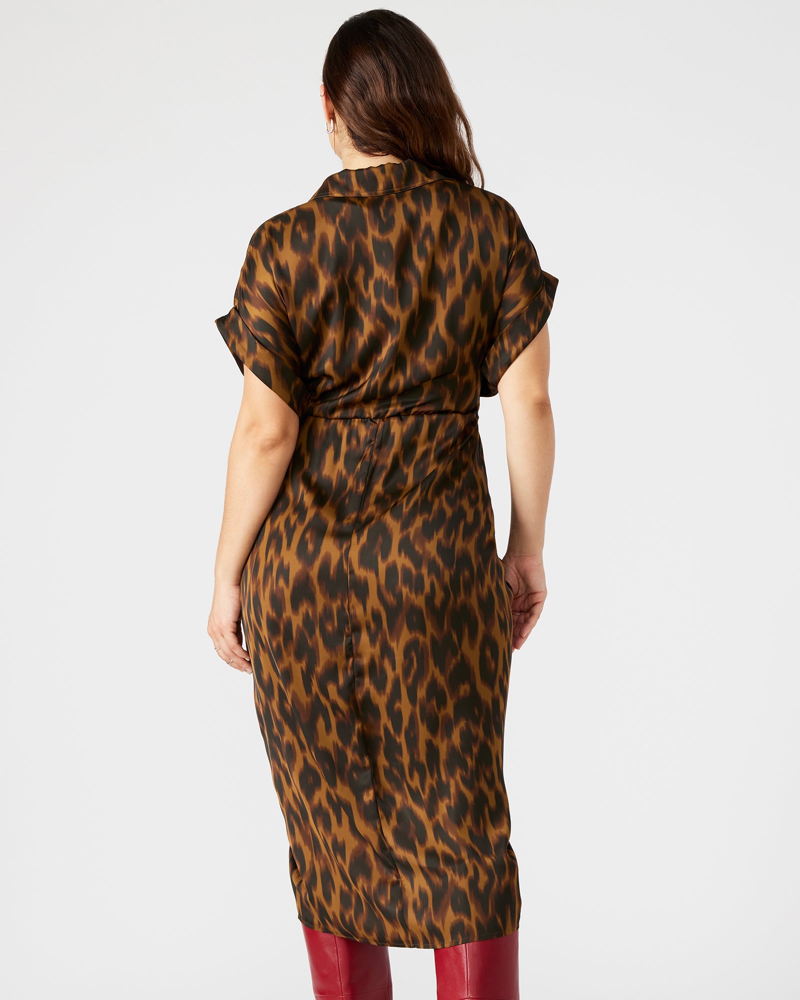 TORI leopard print dress front view with rolled collar