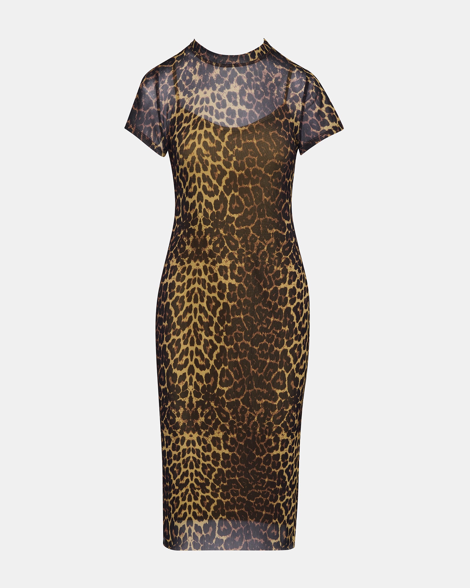 Front view of Hailee bodycon dress showcasing mesh overlay.
