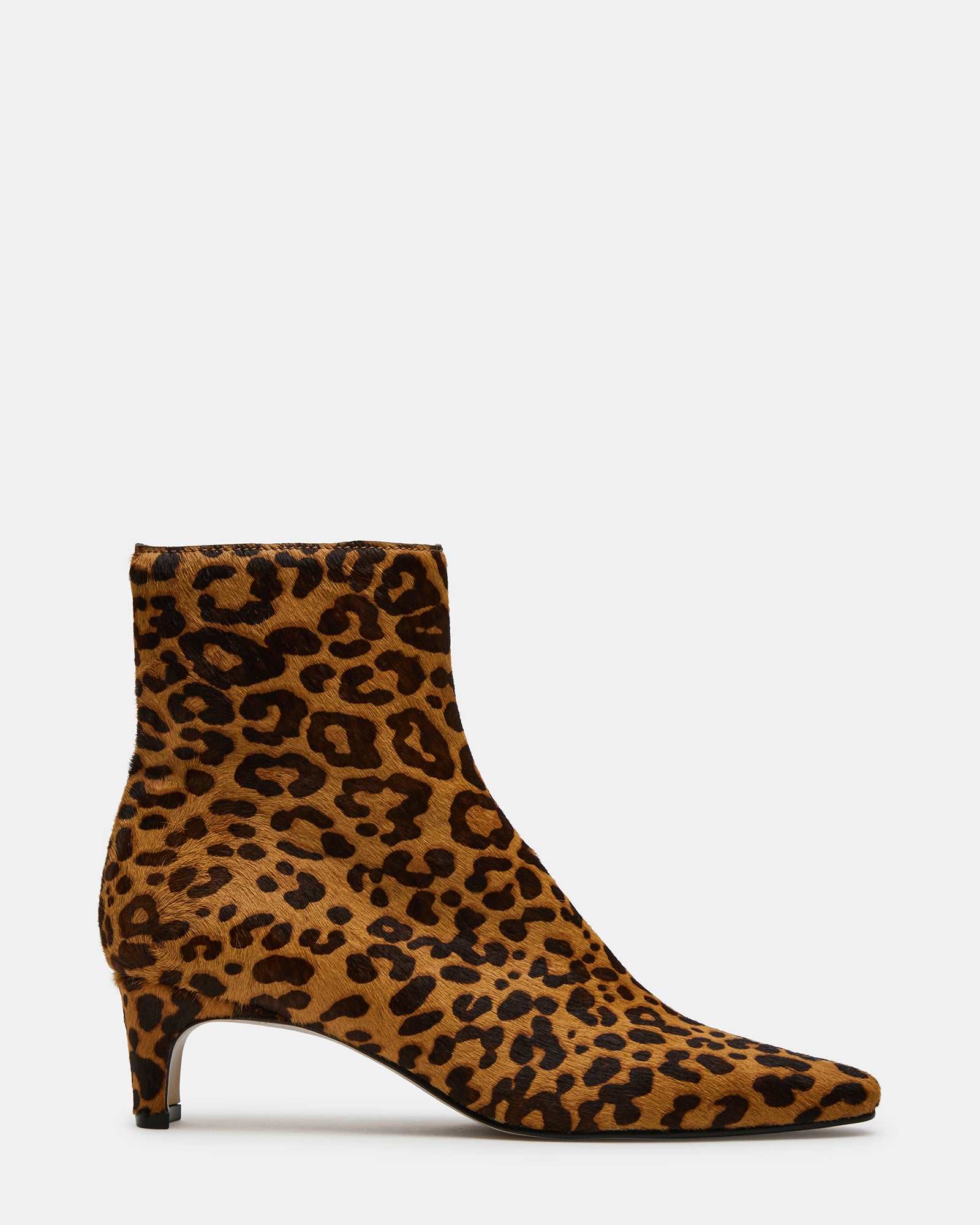 Front view of Delvie leopard print kitten heel booties highlighting the pointed toe.